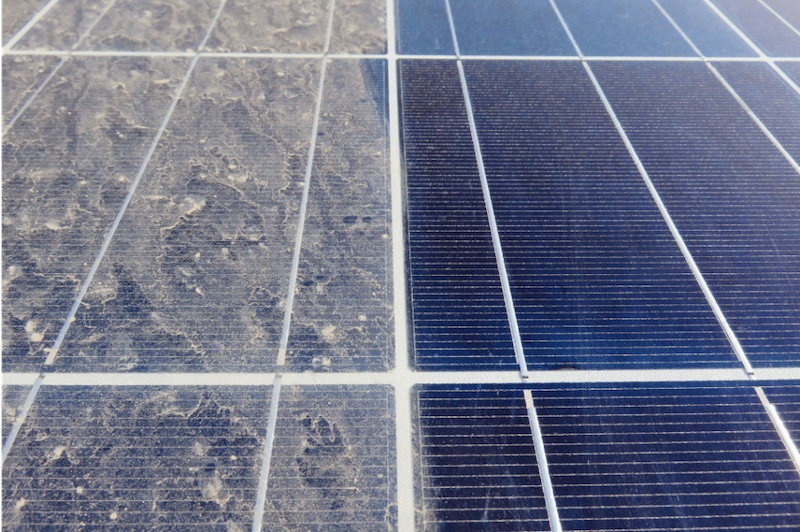 Solar Panels Before Cleaning